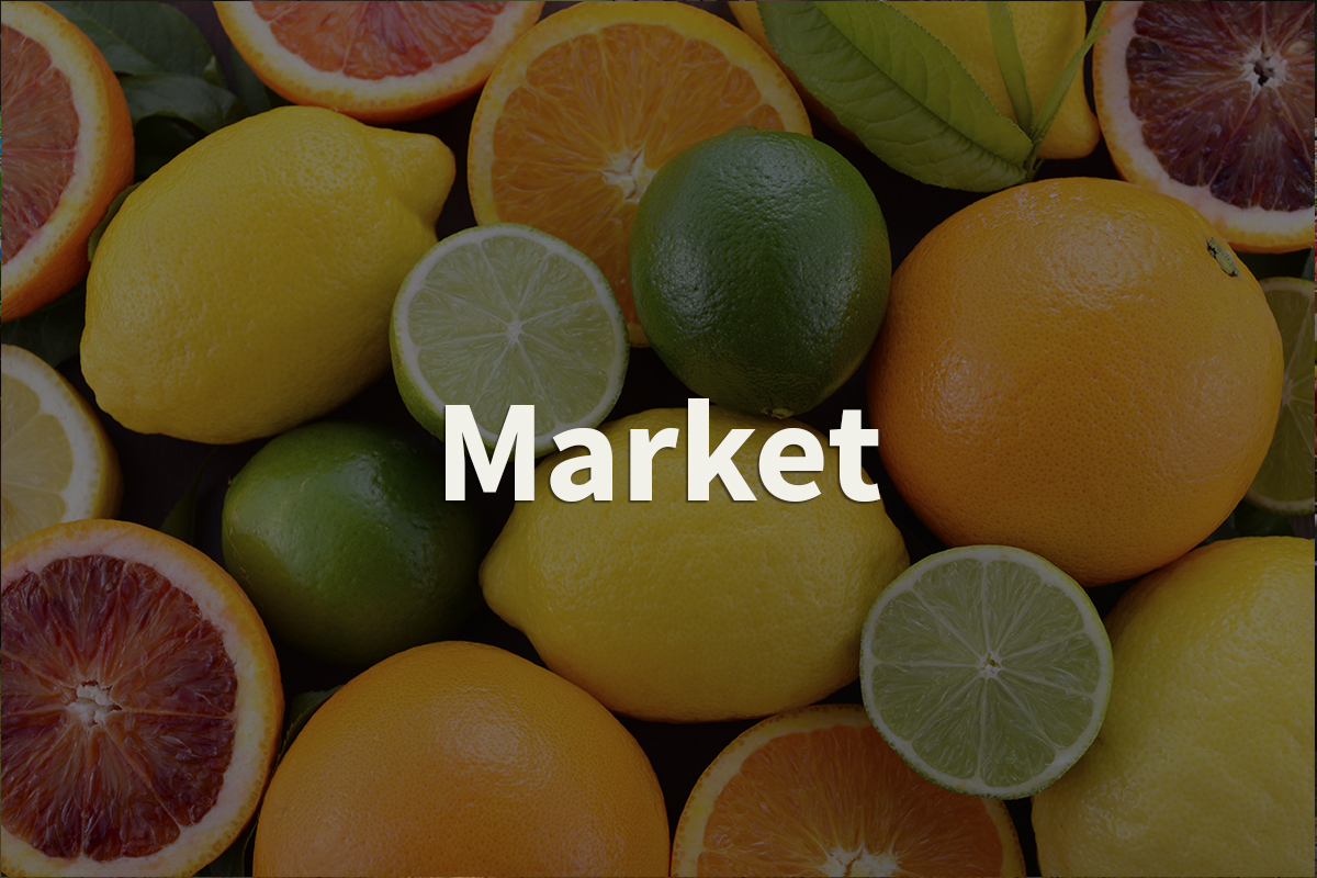 Palmer's Market in Darien Family Owned and Operated since 1921