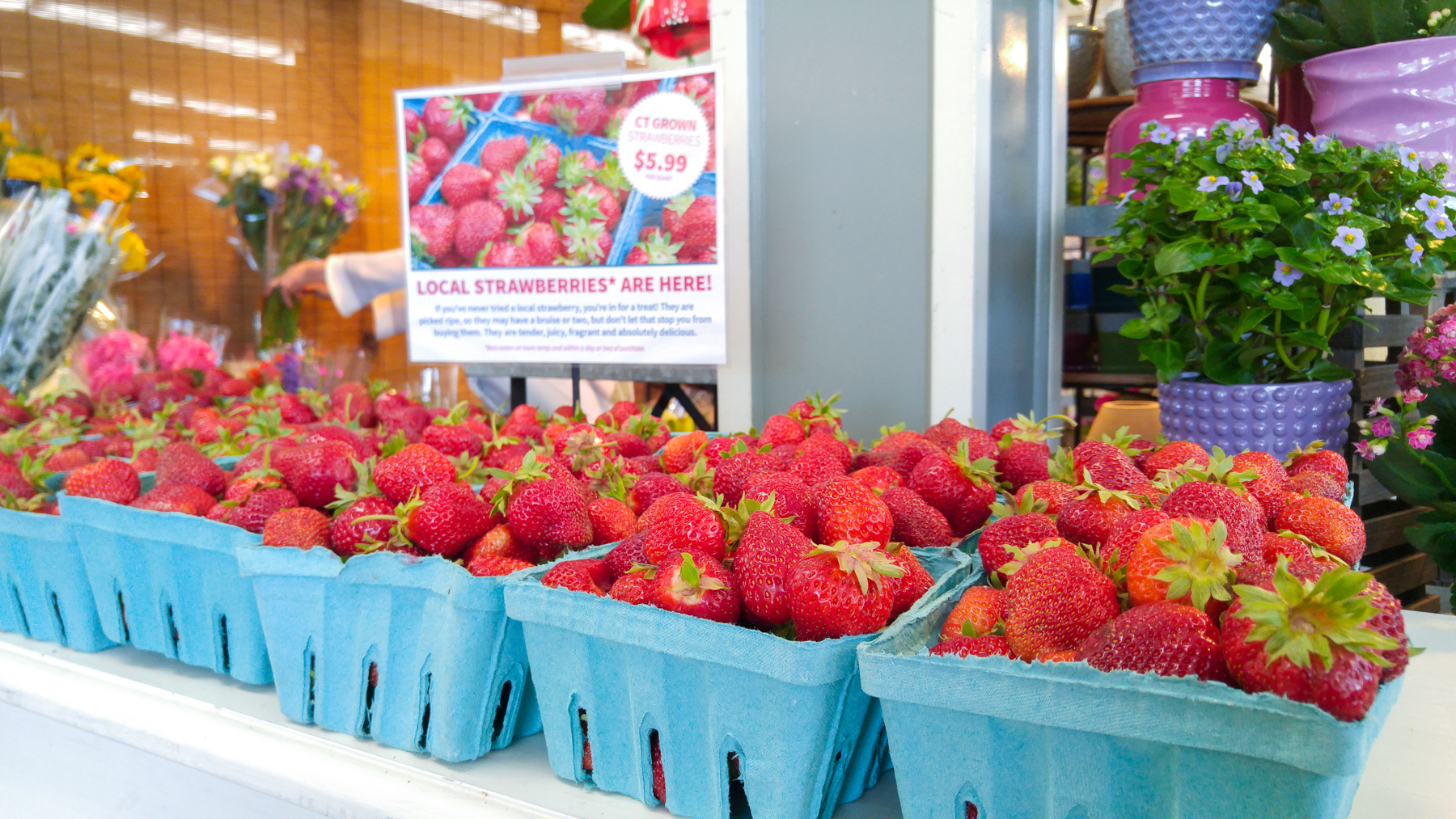 Palmers Market Store Gallery Produce 01 Palmer's Darien