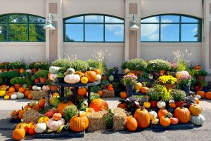 pumpkin display exterior-2022-2
